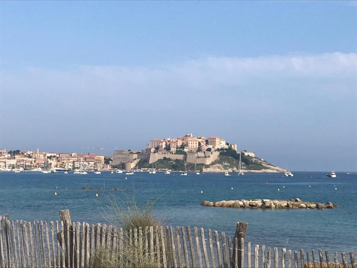 Duplex Renove Les Pieds Dans L'Eau Daire Calvi  Dış mekan fotoğraf