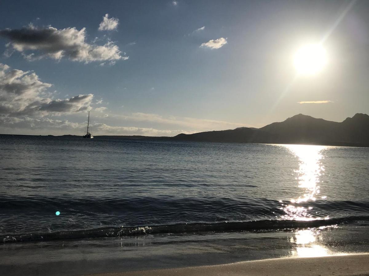 Duplex Renove Les Pieds Dans L'Eau Daire Calvi  Dış mekan fotoğraf
