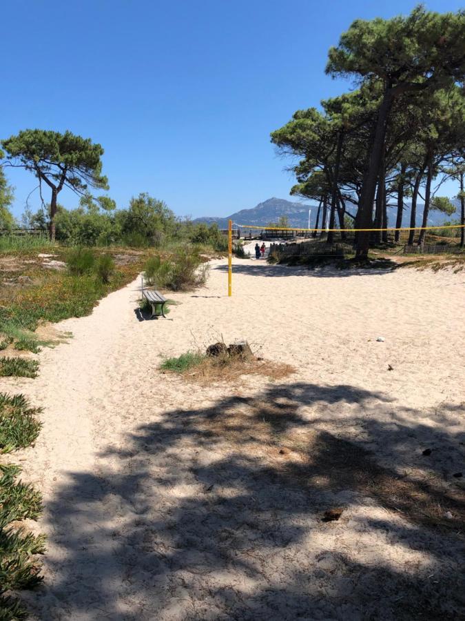 Duplex Renove Les Pieds Dans L'Eau Daire Calvi  Dış mekan fotoğraf