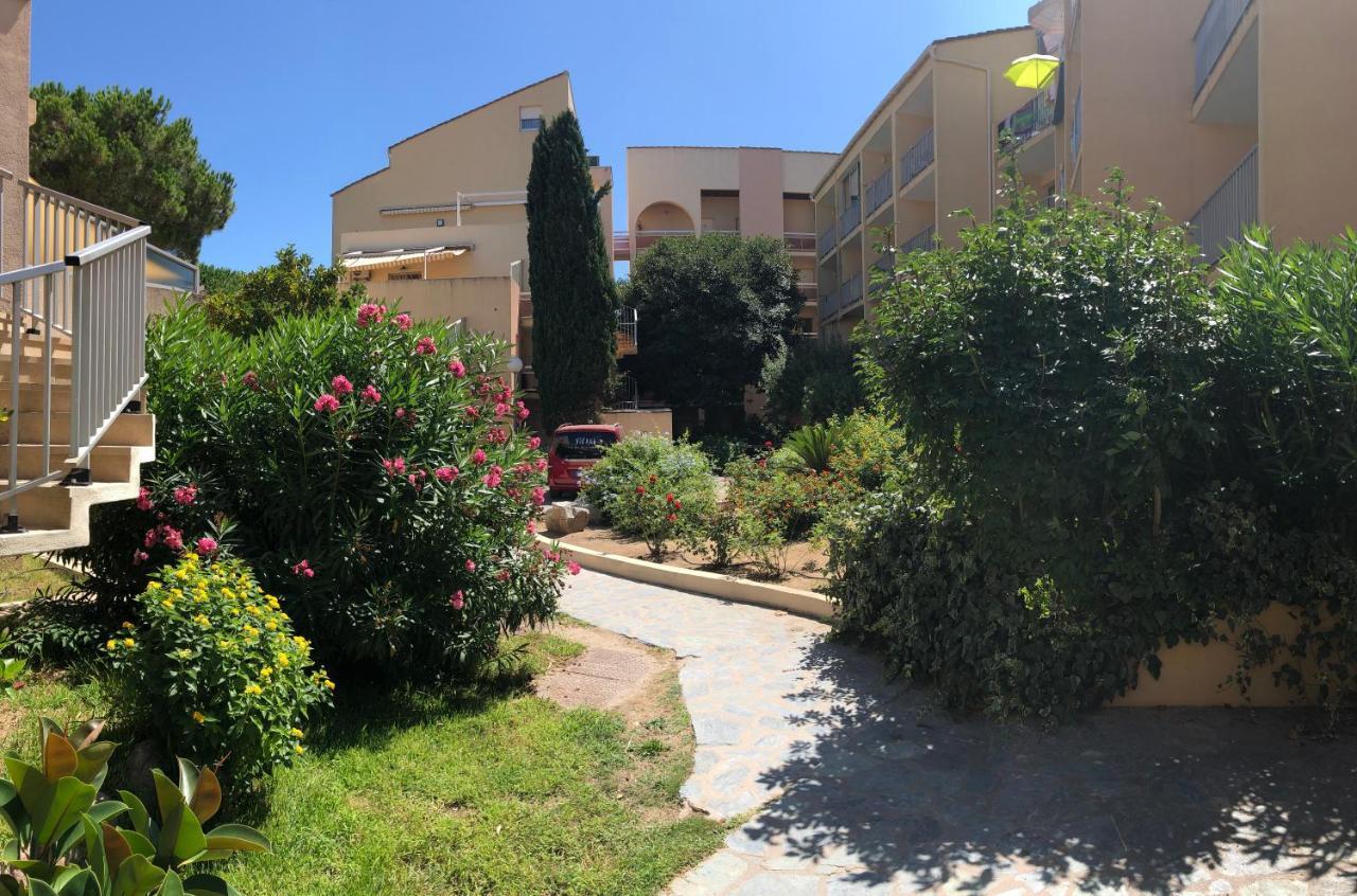 Duplex Renove Les Pieds Dans L'Eau Daire Calvi  Dış mekan fotoğraf
