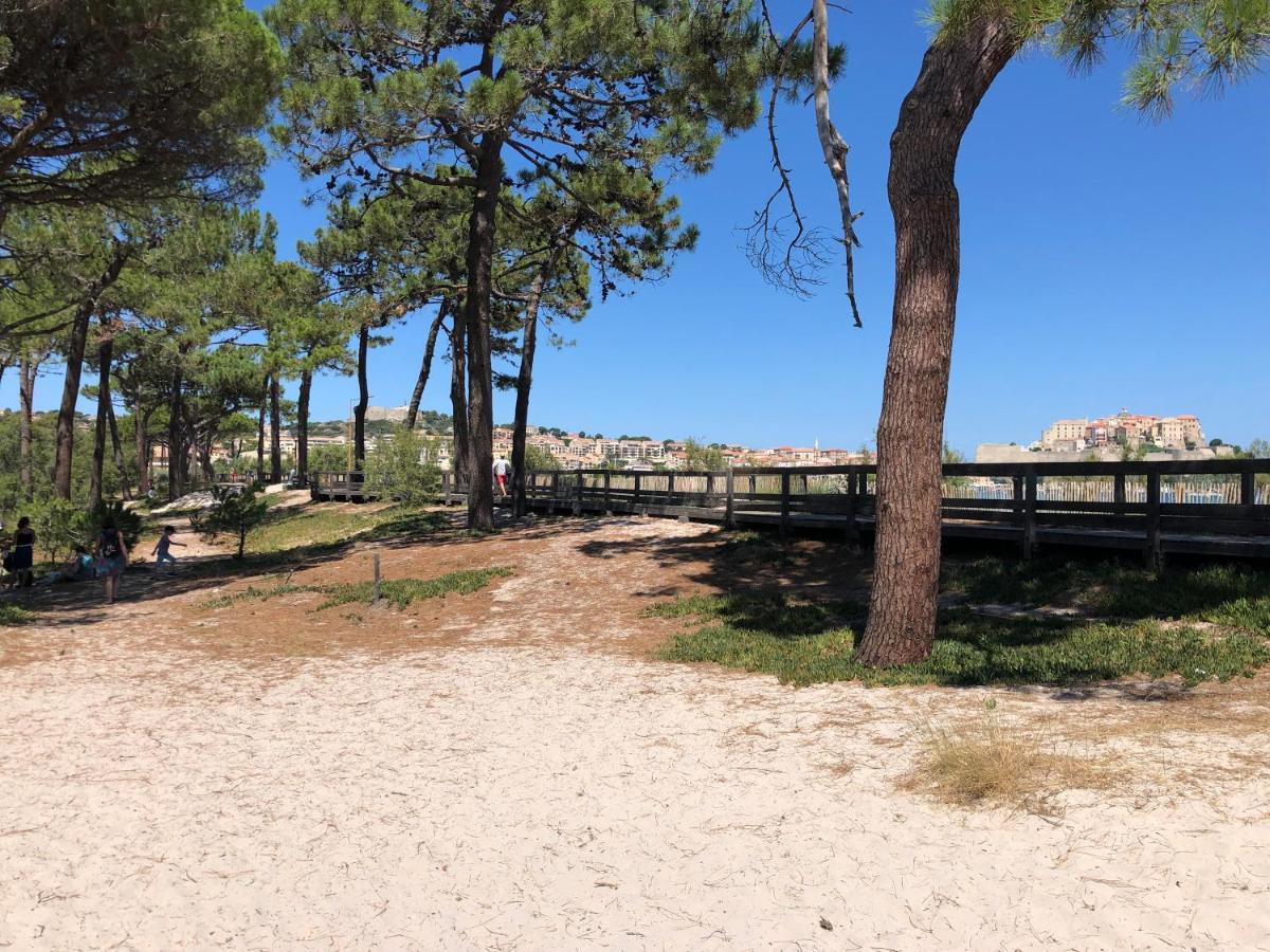 Duplex Renove Les Pieds Dans L'Eau Daire Calvi  Dış mekan fotoğraf