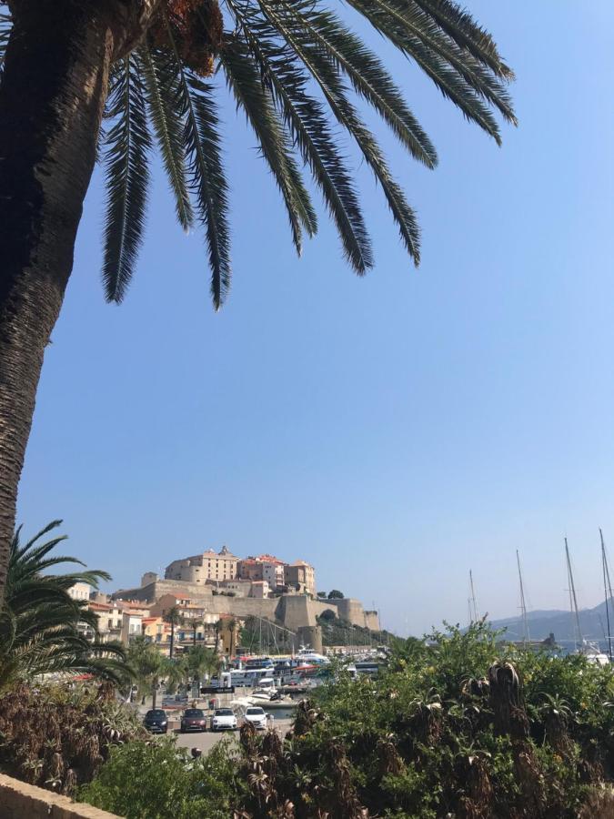 Duplex Renove Les Pieds Dans L'Eau Daire Calvi  Dış mekan fotoğraf