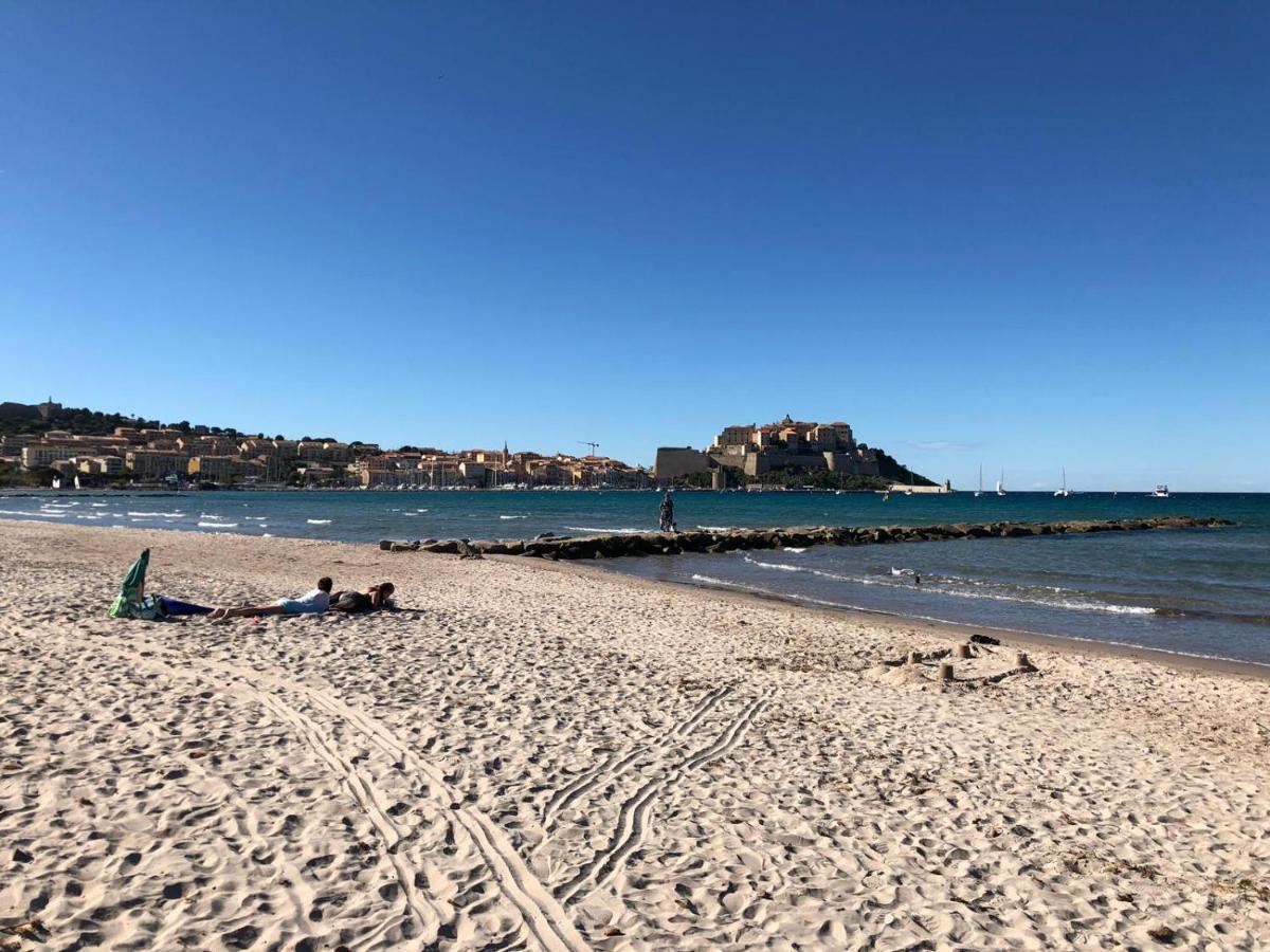 Duplex Renove Les Pieds Dans L'Eau Daire Calvi  Dış mekan fotoğraf