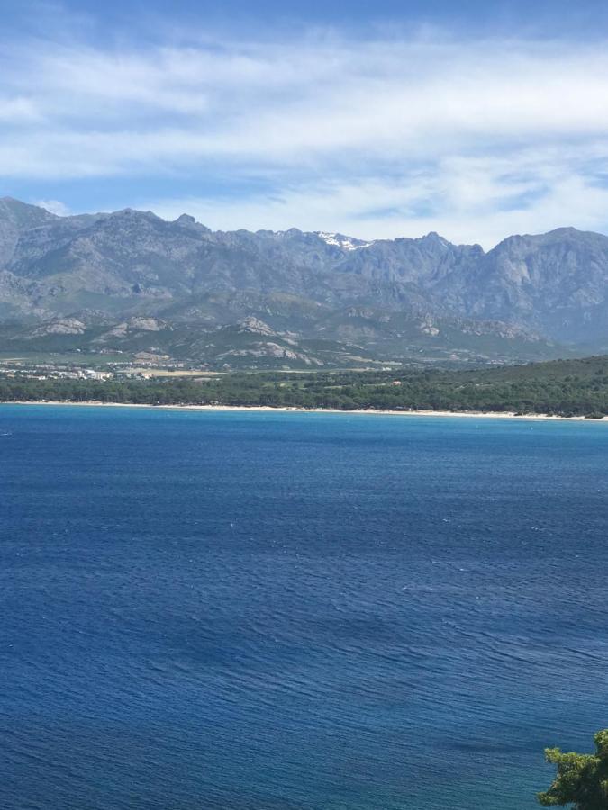 Duplex Renove Les Pieds Dans L'Eau Daire Calvi  Dış mekan fotoğraf