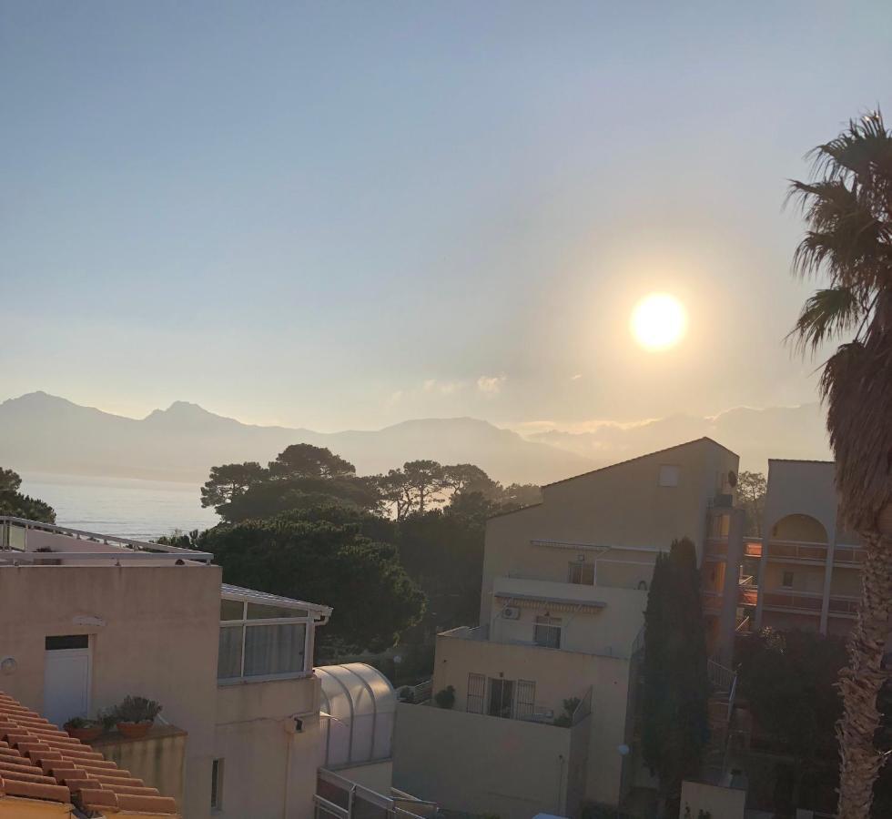 Duplex Renove Les Pieds Dans L'Eau Daire Calvi  Dış mekan fotoğraf